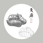 手绘天麻