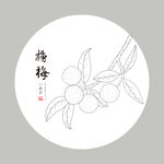 手绘杨梅