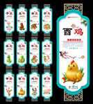 12生肖 