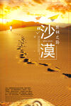沙漠