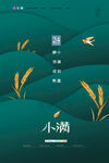简约小满海报