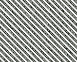 字母