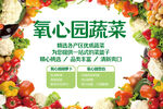 蔬菜介绍牌