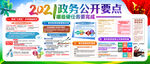 2021政务公开要点