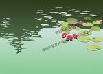荷塘睡莲