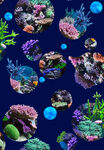 波点海洋花