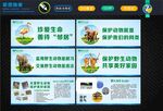 保护野动物  宣传栏   海报