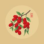 红枣手绘