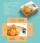 枇杷包装 水果盒子