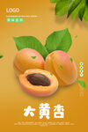 大黄杏海报