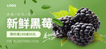 黑莓海报