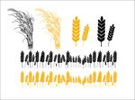 各种麦穗CDR图可换颜色