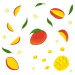芒果插画 水果手绘