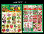 菜单   超市单页   宣传单