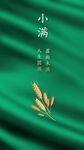 小满24节气夏天夏至绿色纹理海