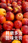 油桃海报 
