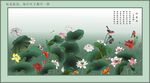 荷花 荷叶