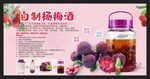 自制杨梅酒