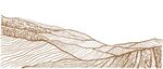 梯田矢量插画手绘