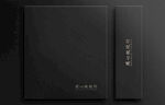 高端LOGO样机