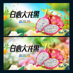 白心火龙果