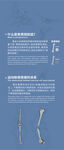 骨骼图文