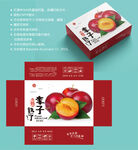 李子包装 红布林纸箱