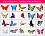 蝴蝶免抠素材