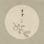 手绘李子