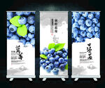 蓝莓海报