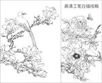 工笔花鸟牡丹