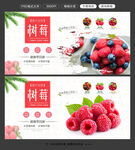 树莓图片