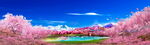 林芝桃花沟海报