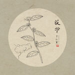 手绘茯苓