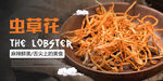 虫草花海报 