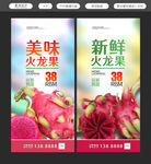 火龙果海报