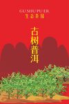 古树普洱包装