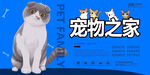 宠物