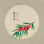 手绘红豆杉