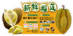 榴莲店教