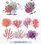 海草海苔