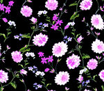 手绘花