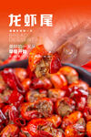 龙虾尾海报