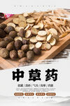 中草药海报