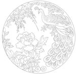 花鸟