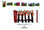 社会主义核心价值观