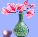 花朵 花瓶