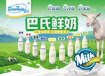 巴氏鲜奶