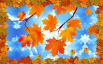 秋叶枫树装饰画
