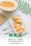 哈密瓜海报